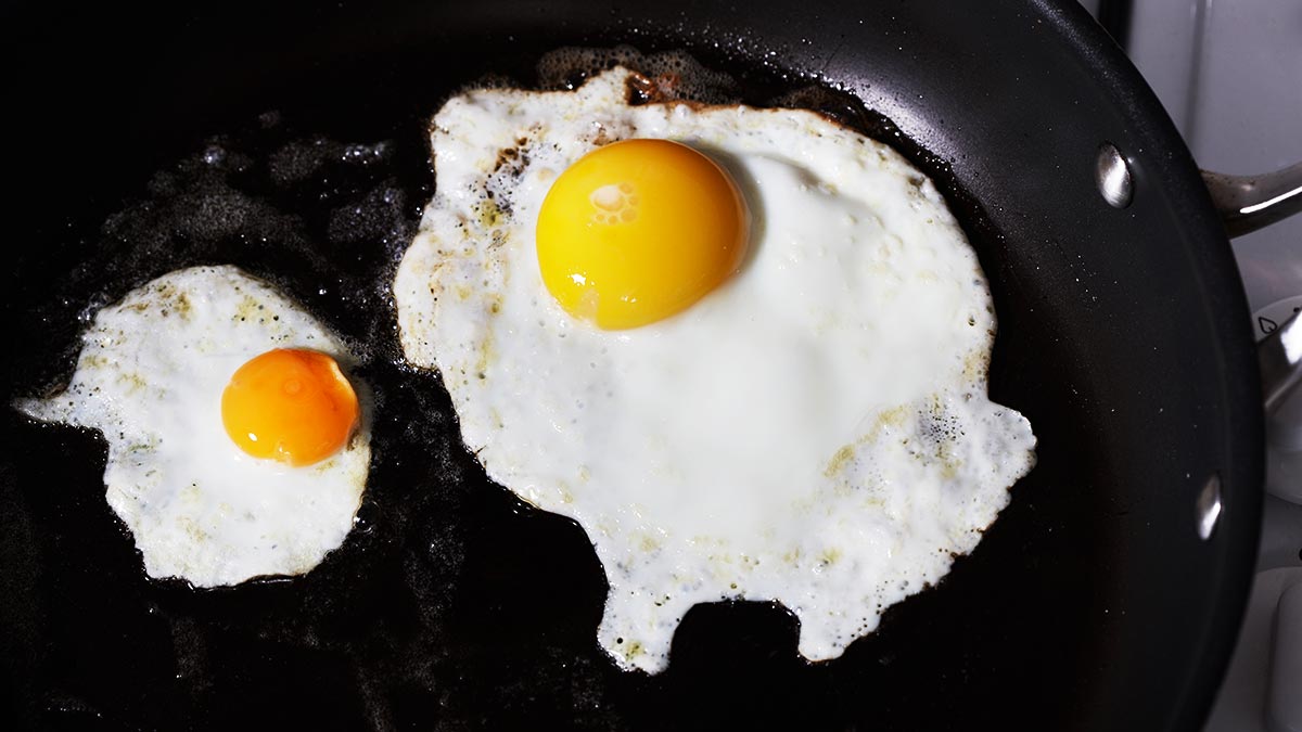 eggs