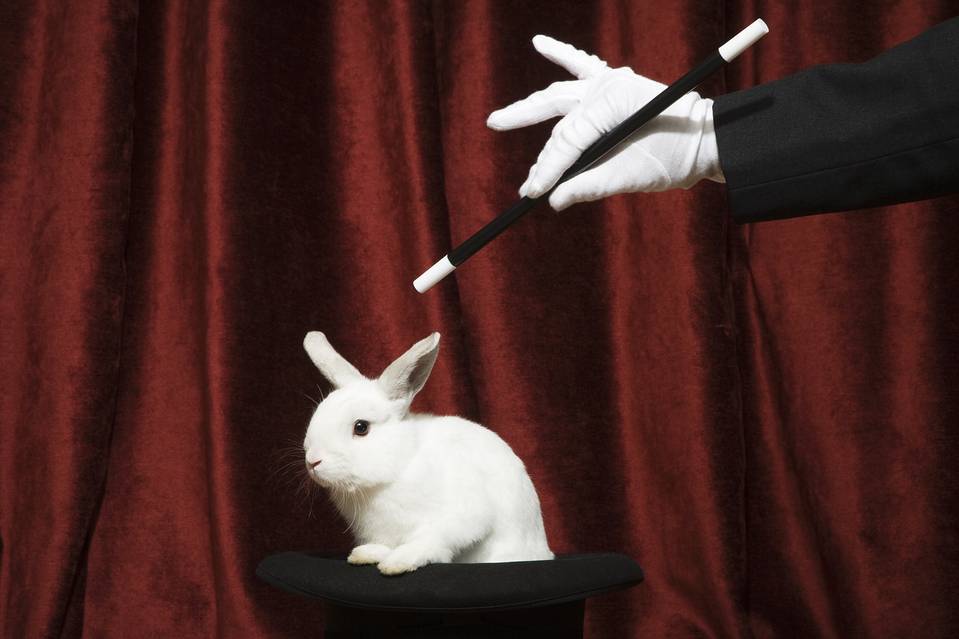 rabbit in a hat.2gif